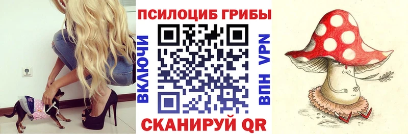 что такое наркотик дарк нет клад Галлюциногенные грибы Cubensis Ярославль ОМГ ОМГ рабочий сайт